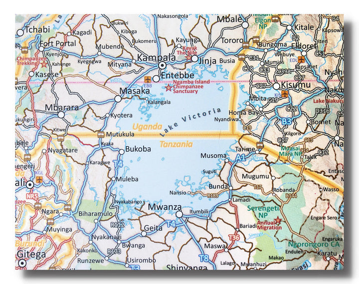 Carte murale plastifiée - Afrique, partie Sud - 130 x 98 cm | Tracks4Africa carte murale petit tube Tracks4Africa 