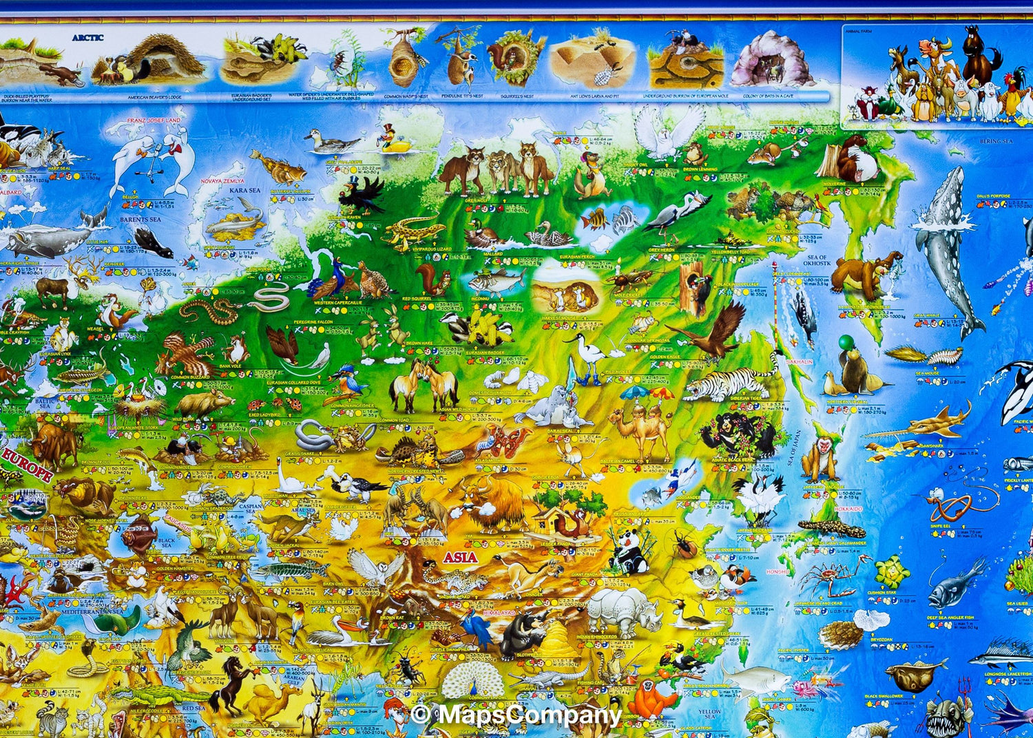 Carte murale pour enfants - Les animaux du monde (plastifiée, en anglais) - 137 x 100 cm | Dino carte murale roulée (en tube) Dino's Maps