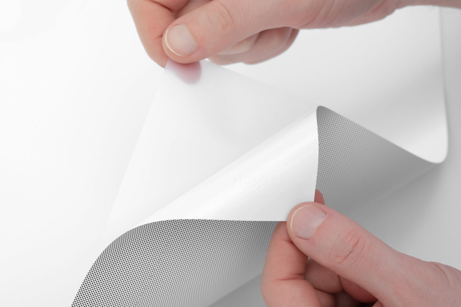 Carte murale repositionnable (adhésive, sans colle) - Le Monde (140 x 100 cm) | Palomar carte murale roulée (en tube) Palomar