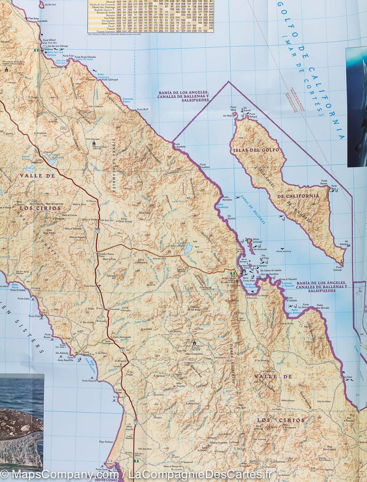 Carte routière de la Basse Californie Nord (Mexique) | National Geographic - La Compagnie des Cartes