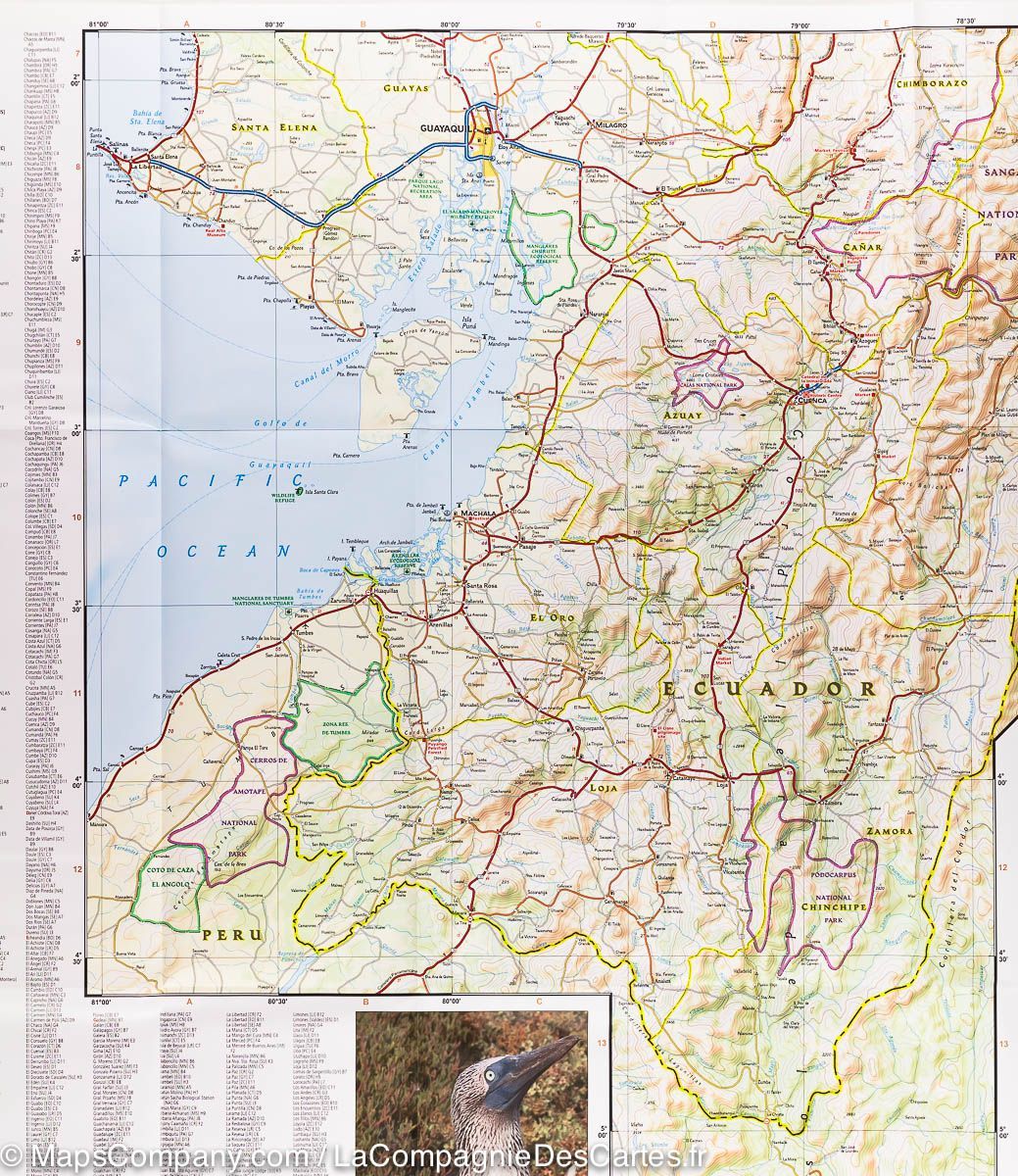 Carte routière - Equateur & Iles Galapagos | National Geographic carte routière National Geographic