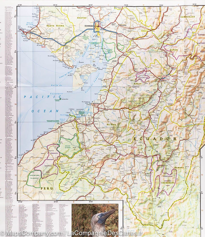 Carte routière - Equateur & Iles Galapagos | National Geographic carte pliée National Geographic 