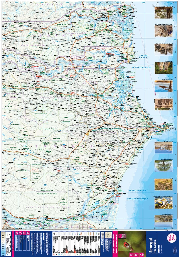 Carte routière - Sénégal & Gambie | Reise Know How carte pliée Reise Know-How 