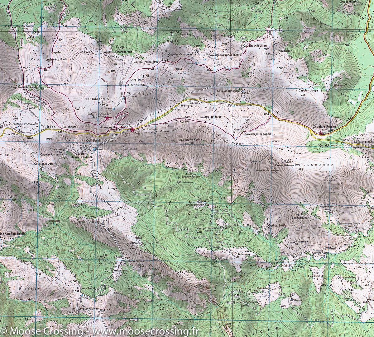 Carte TOP 25 n° 1346 ET - Forêt d'Iraty & Pic d'Orhy (Pyrénées) | IGN carte de randonnée IGN
