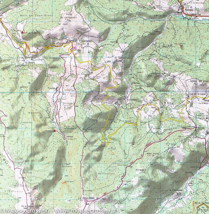 Carte IGN TOP 25 n° 2147 ET - Foix, Tarascon sur Ariège (PNR des Pyrénées Ariégeoises) - La Compagnie des Cartes
