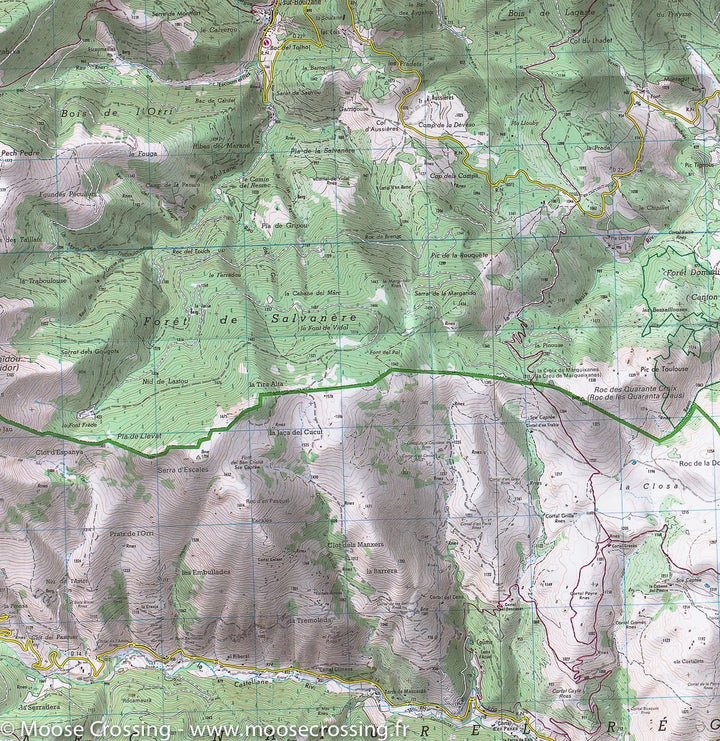 Carte IGN TOP 25 n° 2348 ET - Prades et St Paul de Fenouillet (Pyrénées) - La Compagnie des Cartes