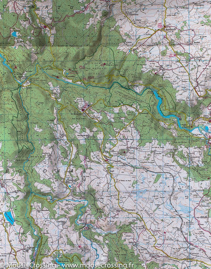 Carte TOP 25 n° 2434 OT - Riom-ès-Montagnes & Bort-les-Orgues (PNR des Volcans d'Auvergne) | IGN - La Compagnie des Cartes