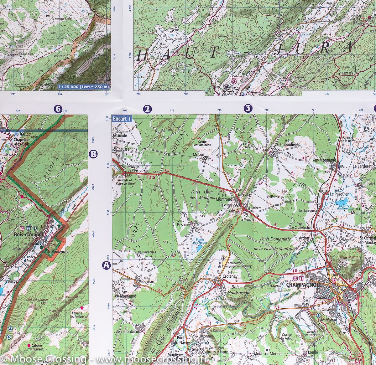 Carte TOP 75 n° 40 - Massif du Pilat & Monts du Forez | IGN carte de randonnée IGN