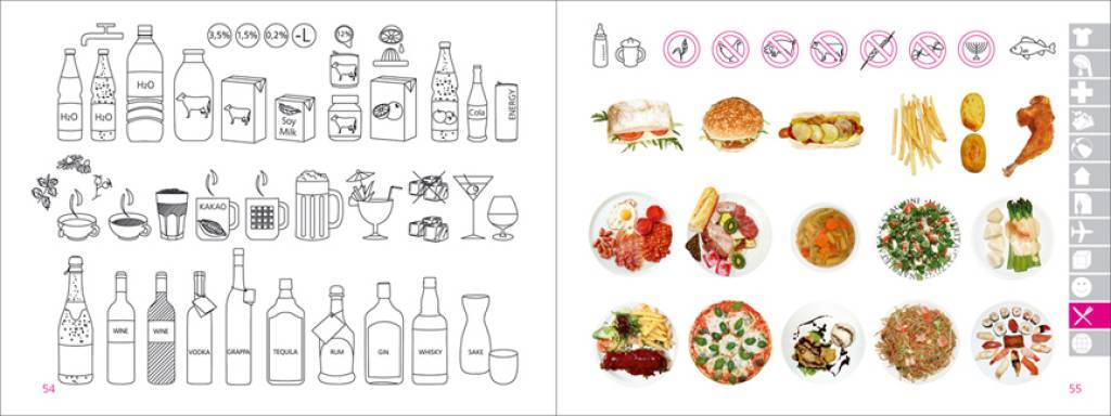 Dictionnaire universel d'images - Icoon Plus guide pratique Amberpress