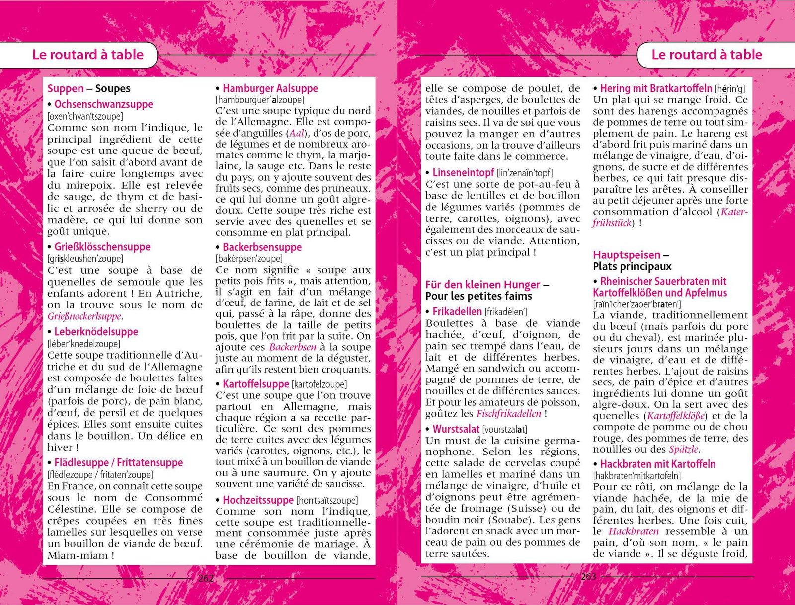 Guide de conversation Allemand | Le Routard guide pratique Hachette