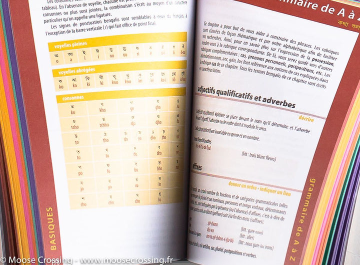 Guide de conversation - hindi, ourdou et bengali | Lonely Planet guide de conversation Lonely Planet 