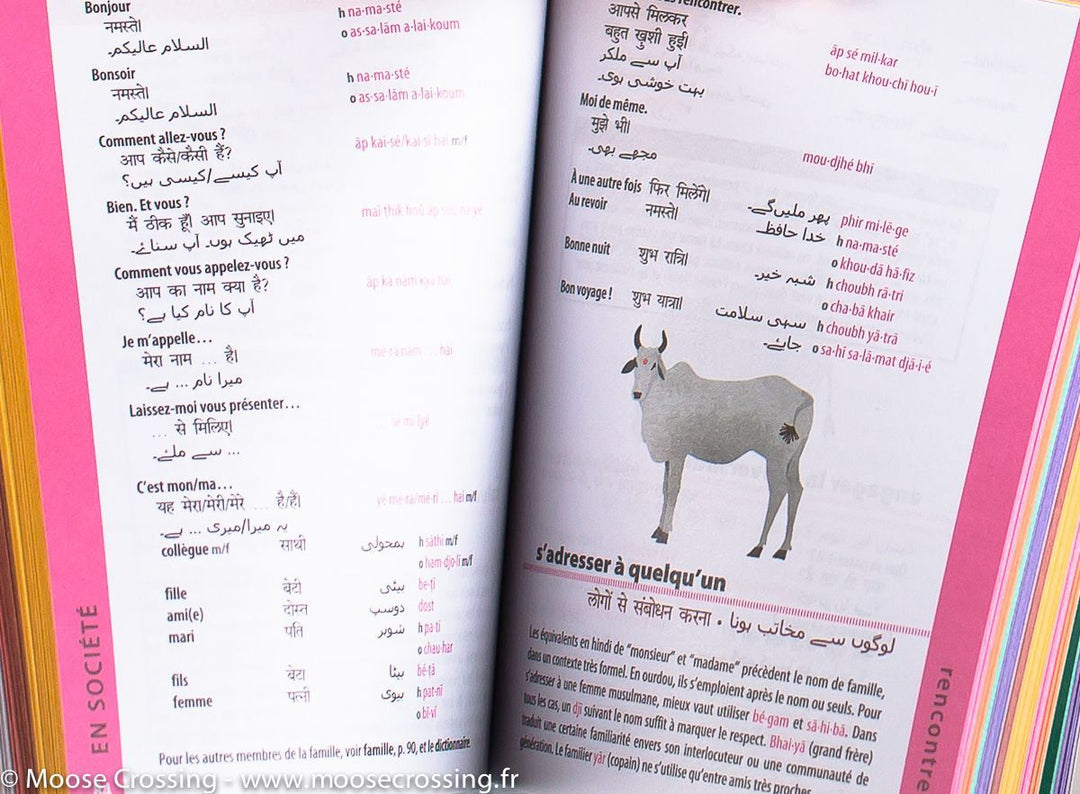 Guide de conversation - hindi, ourdou et bengali | Lonely Planet guide de conversation Lonely Planet 