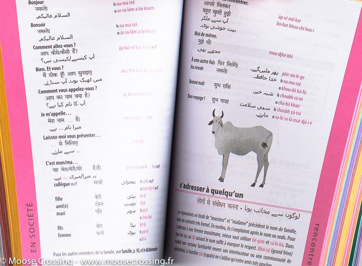Guide de conversation - hindi, ourdou et bengali | Lonely Planet guide de conversation Lonely Planet 