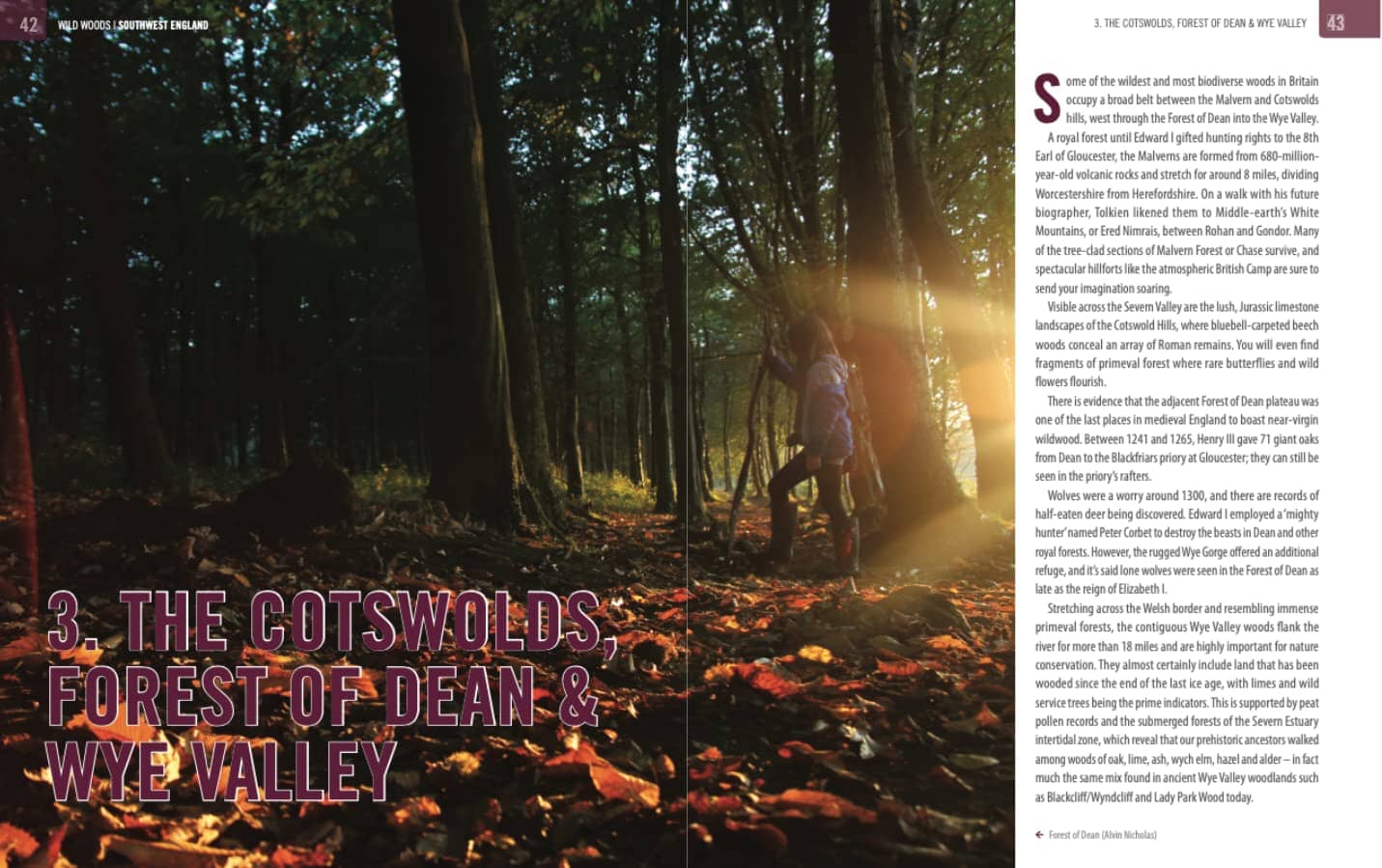 Guide de la vie sauvage (en anglais) - Britain Wild Woods | Bradt guide de voyage Bradt 