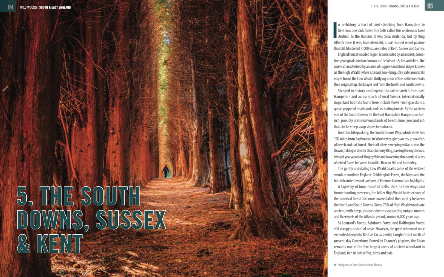 Guide de la vie sauvage (en anglais) - Britain Wild Woods | Bradt guide de voyage Bradt 