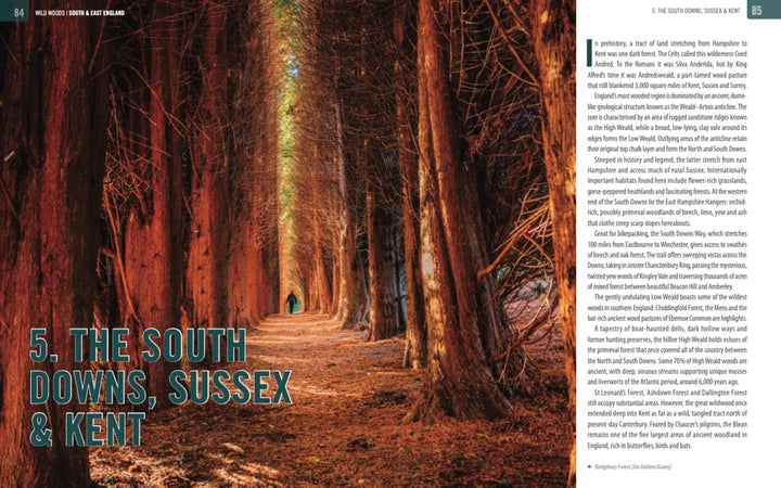 Guide de la vie sauvage (en anglais) - Britain Wild Woods | Bradt guide de voyage Bradt 
