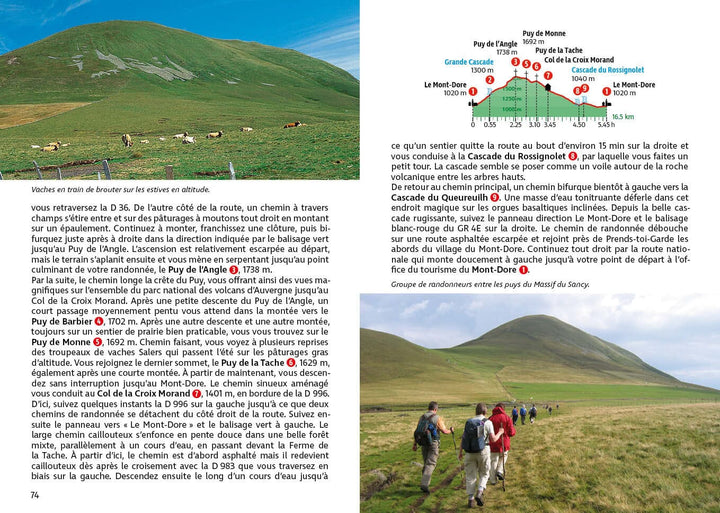 Guide de randonnée - Auvergne | Rother guide petit format Rother 