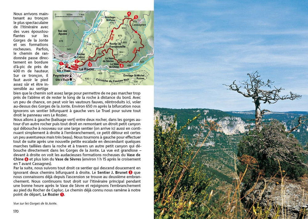 Guide de randonnée - Cévennes & Ardèche | Rother guide petit format Rother 