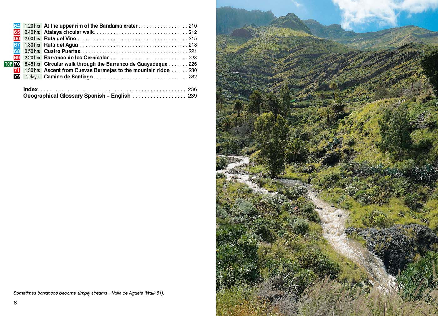 Guide de randonnée (en anglais) - Gran Canaria | Rother guide de randonnée Rother 