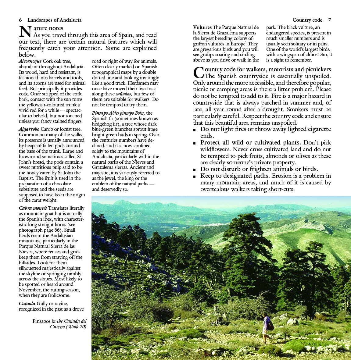 Guide de randonnées (en anglais) - Andalucia : Costa del Sol & Sierras | Sunflower guide de randonnée Sunflower
