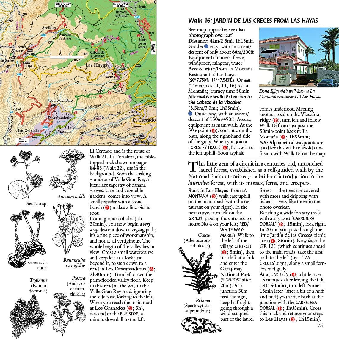Guide de randonnées (en anglais) - Gomera & Tenerife Southern | Sunflower guide de randonnée Sunflower