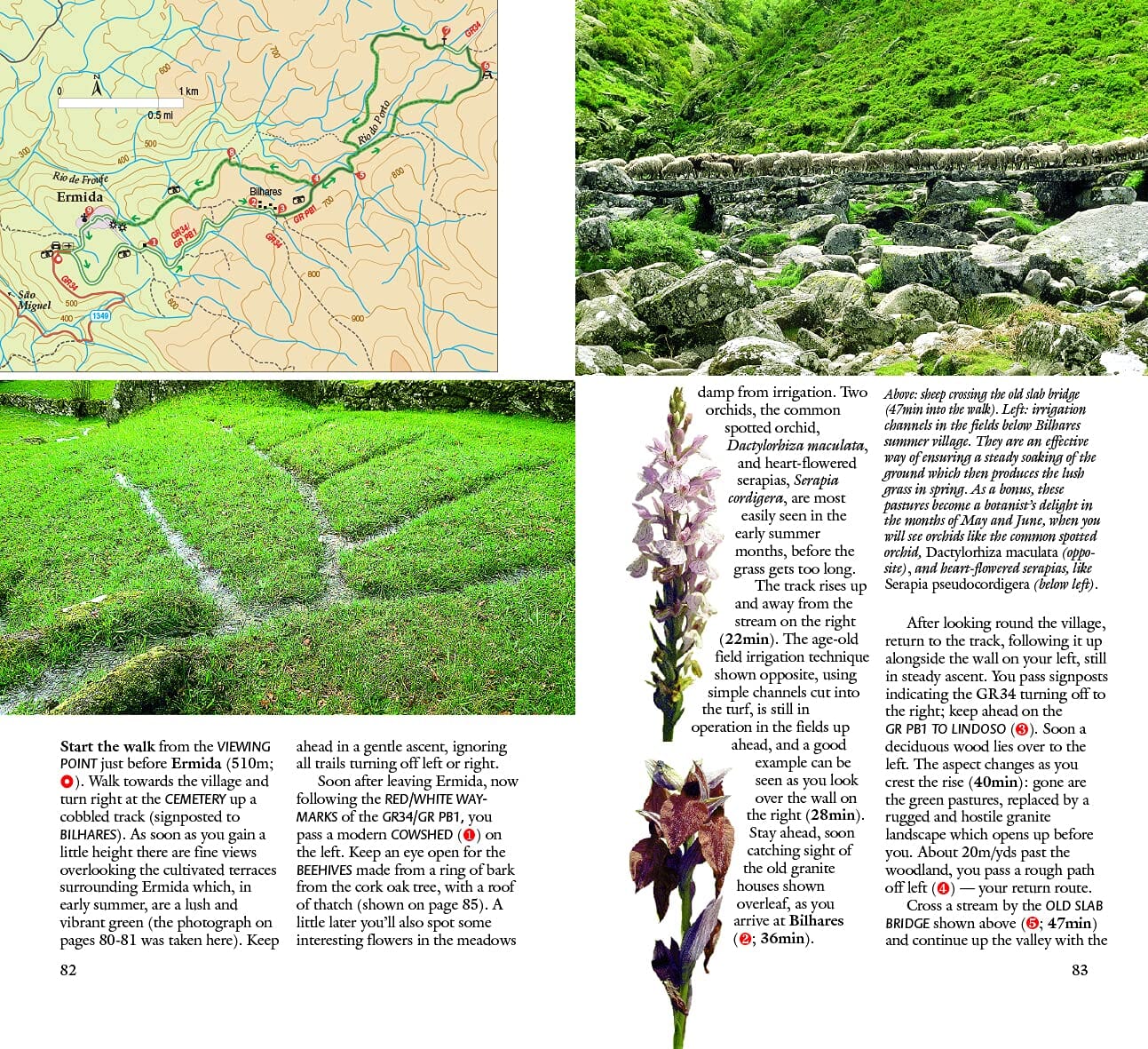 Guide de randonnées (en anglais) - Northern Portugal | Sunflower guide de randonnée Sunflower