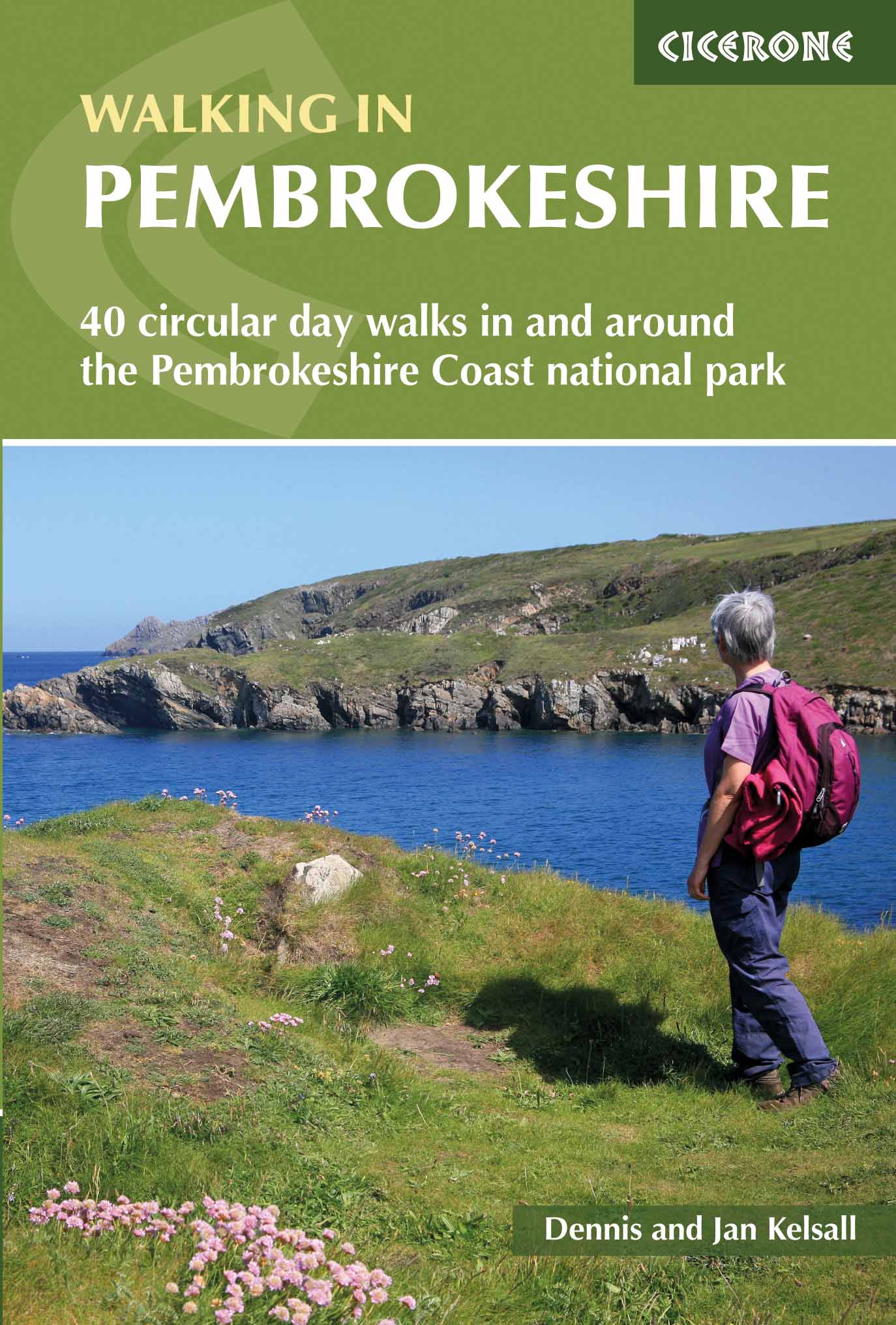 Guide de randonnées (en anglais) - Pembrokeshire : 40 circular walks in and around the Pembrokeshire Coast National Park | Cicerone guide de randonnée Cicerone Default Title
