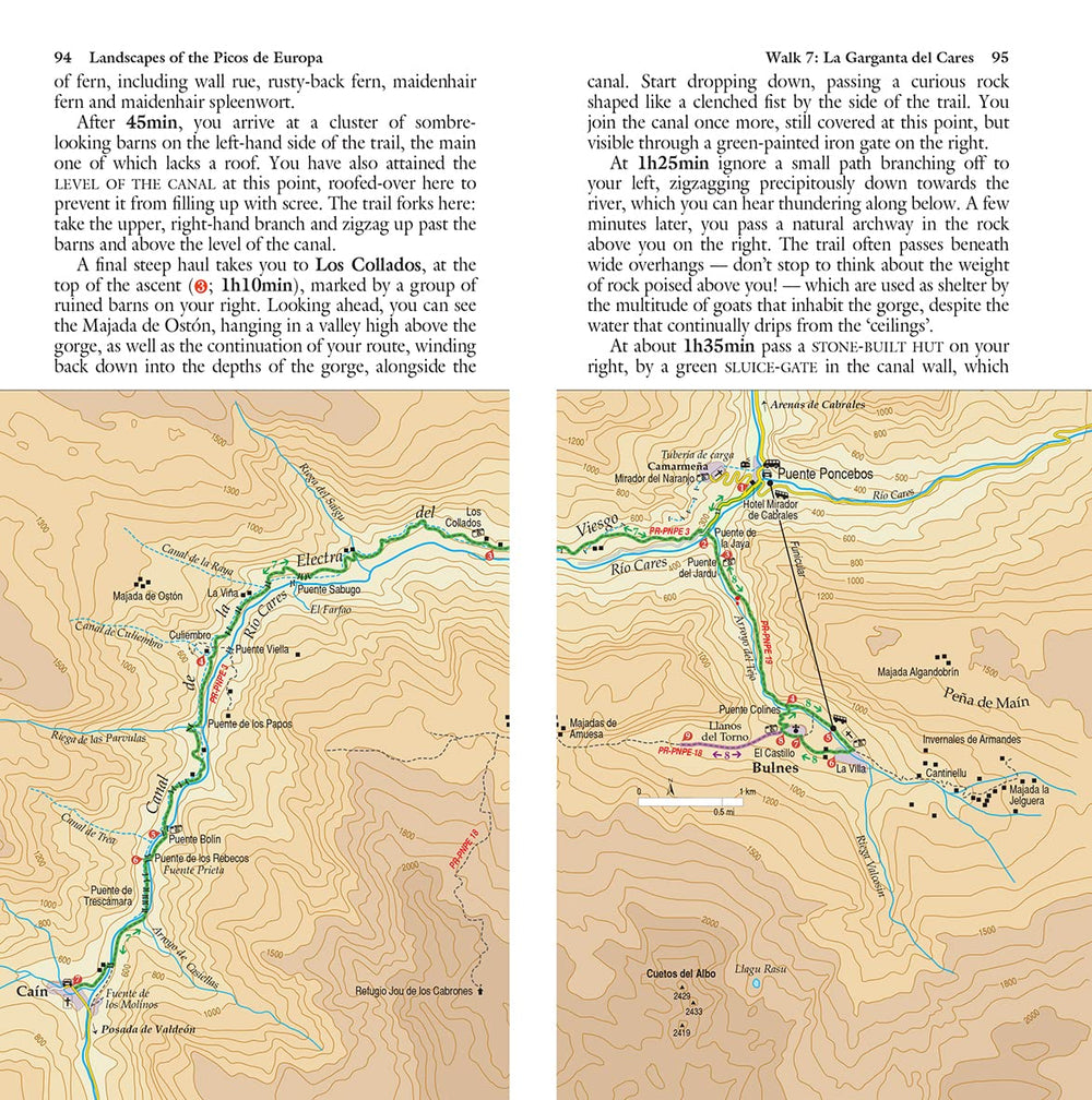 Guide de randonnées (en anglais) - Picos de Europa | Sunflower guide de randonnée Sunflower 