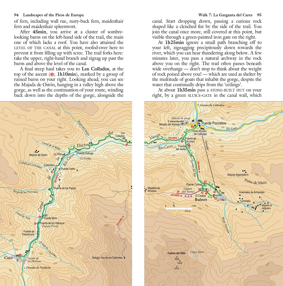 Guide de randonnées (en anglais) - Picos de Europa | Sunflower guide de randonnée Sunflower 