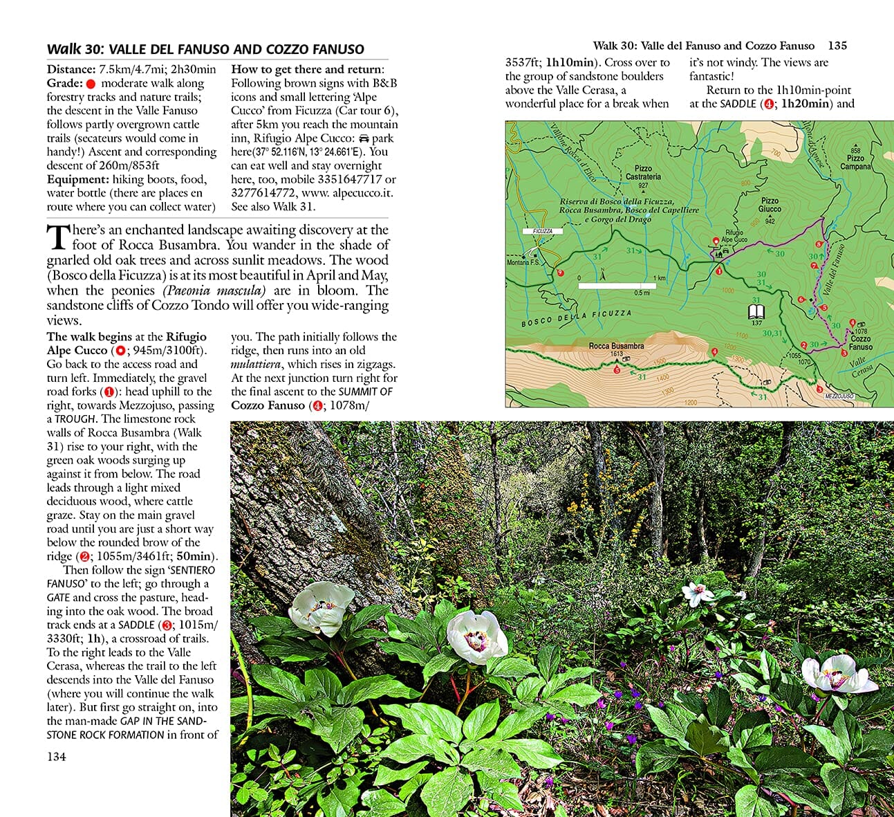 Guide de randonnées (en anglais) - Sicily | Sunflower guide de randonnée Sunflower 