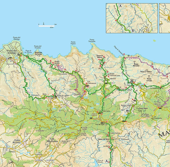 Guide de randonnées (en anglais) - Tenerife - 5 car tours & 80 long and short walks with GPS | Sunflower guide de randonnée Sunflower 