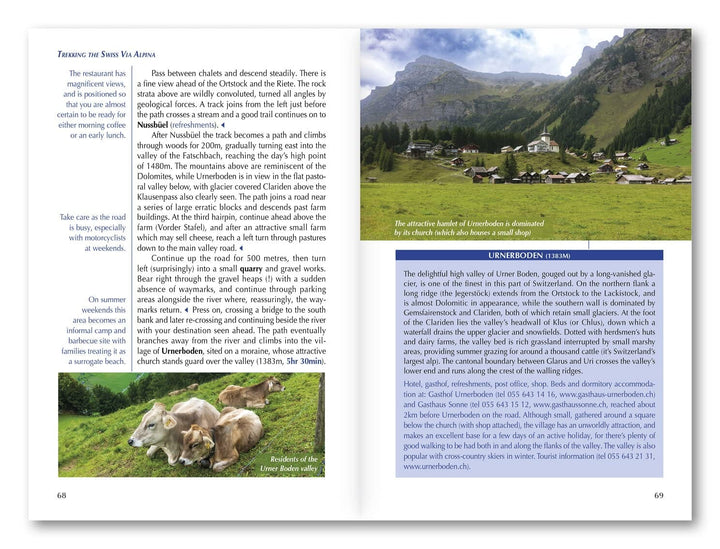 Guide de randonnées (en anglais) - The Swiss Alpine Pass Route - Via Alpina Route 1 | Cicerone guide de randonnée Cicerone 