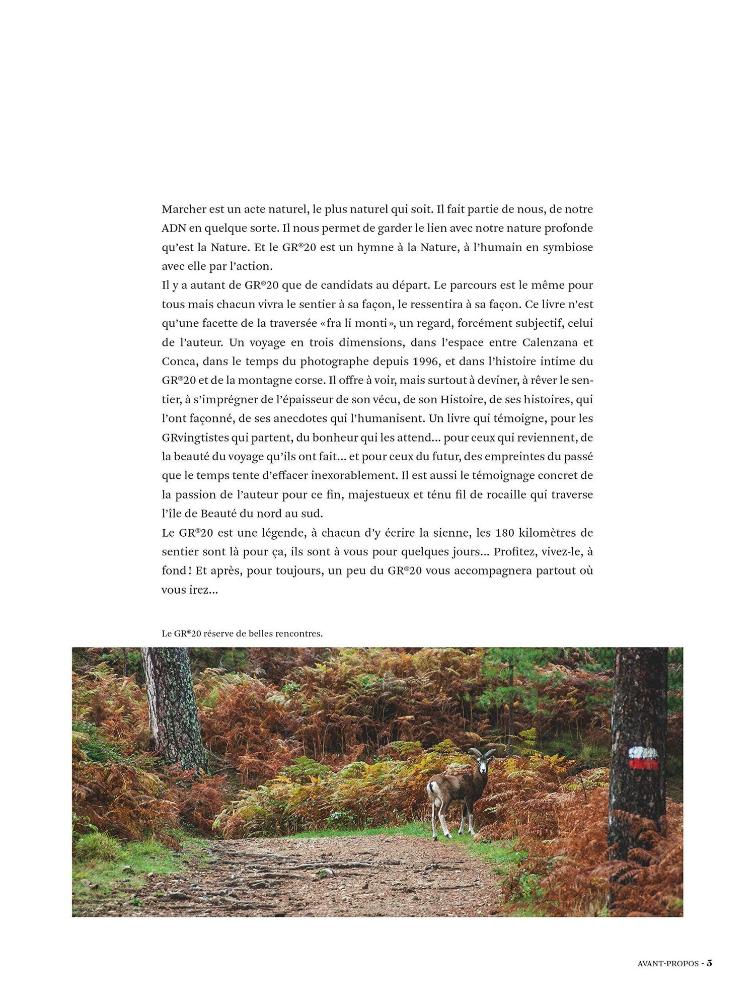 Guide de randonnées - GR20 : Fra li monti, la légende corse | Glénat guide de randonnée Glénat 