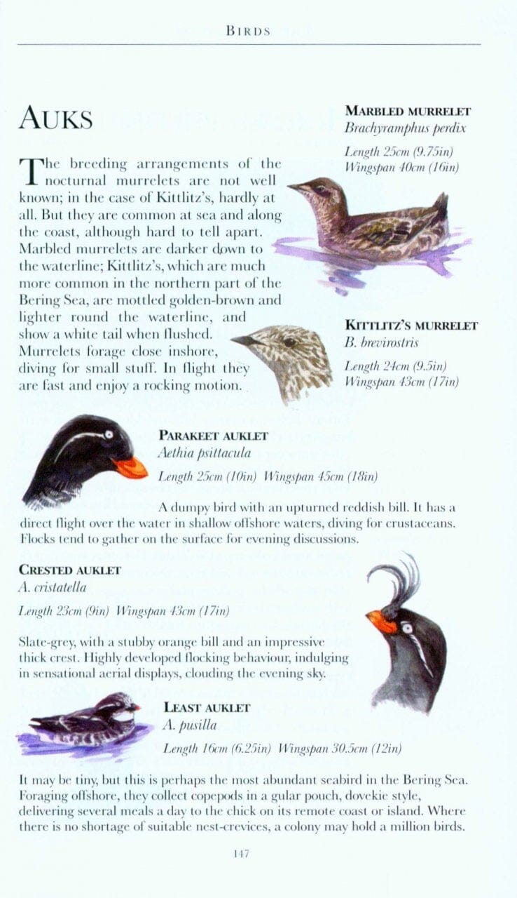 Guide de voyage (en anglais) - Arctique | Bradt guide de voyage Bradt 