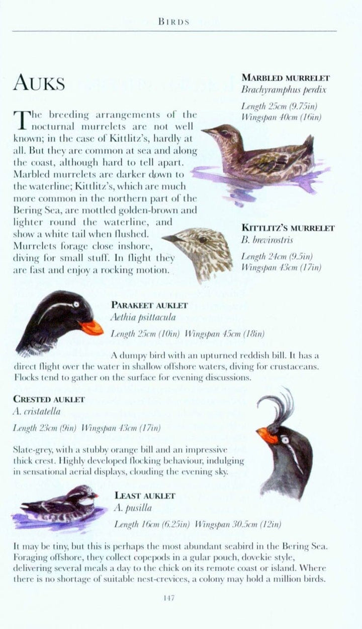 Guide de voyage (en anglais) - Arctique | Bradt guide de voyage Bradt 