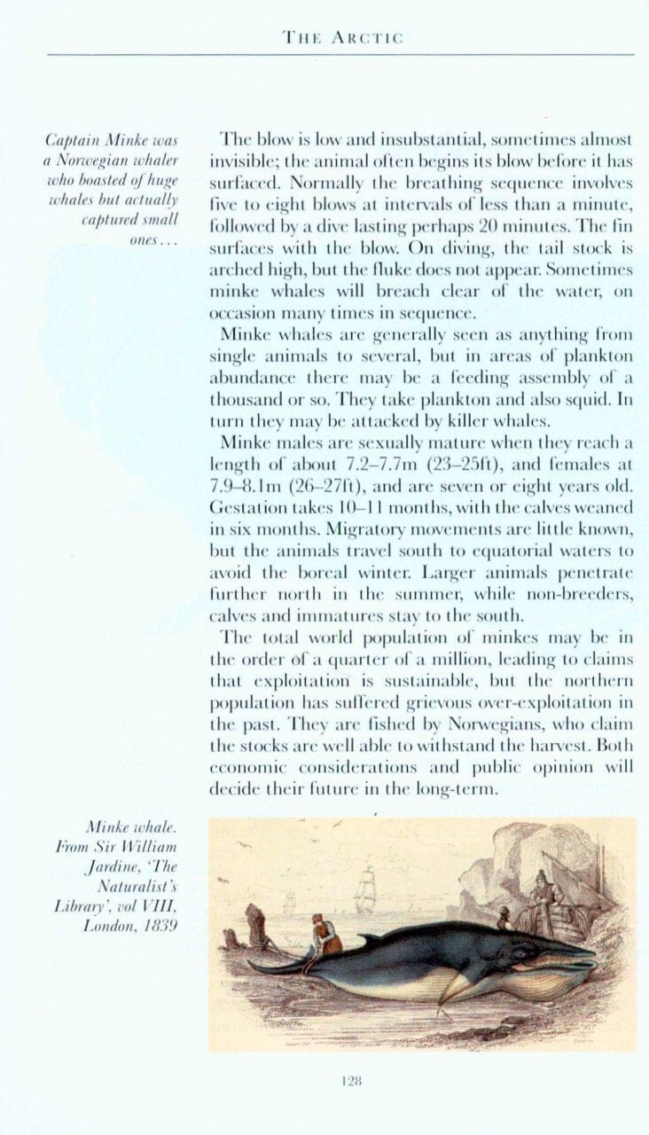 Guide de voyage (en anglais) - Arctique | Bradt guide de voyage Bradt 