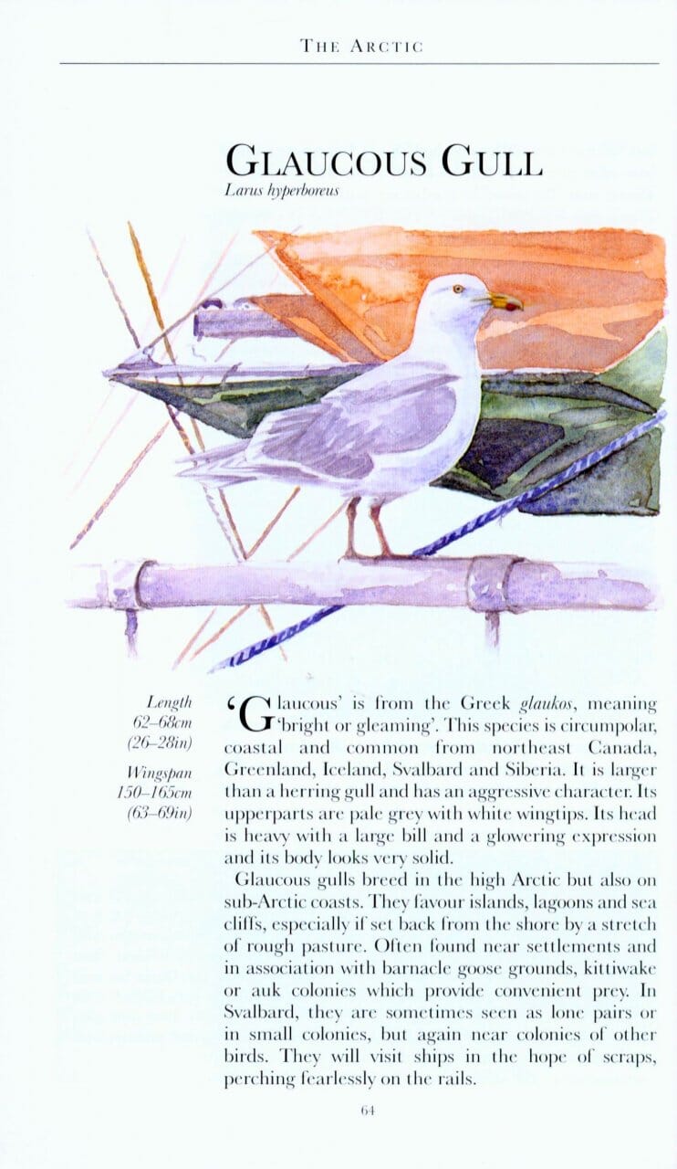 Guide de voyage (en anglais) - Arctique | Bradt guide de voyage Bradt 