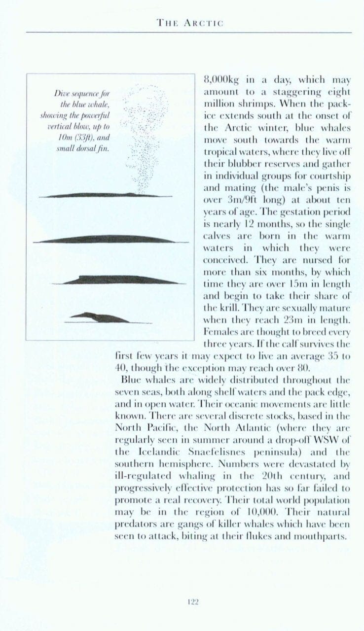 Guide de voyage (en anglais) - Arctique | Bradt guide de voyage Bradt 