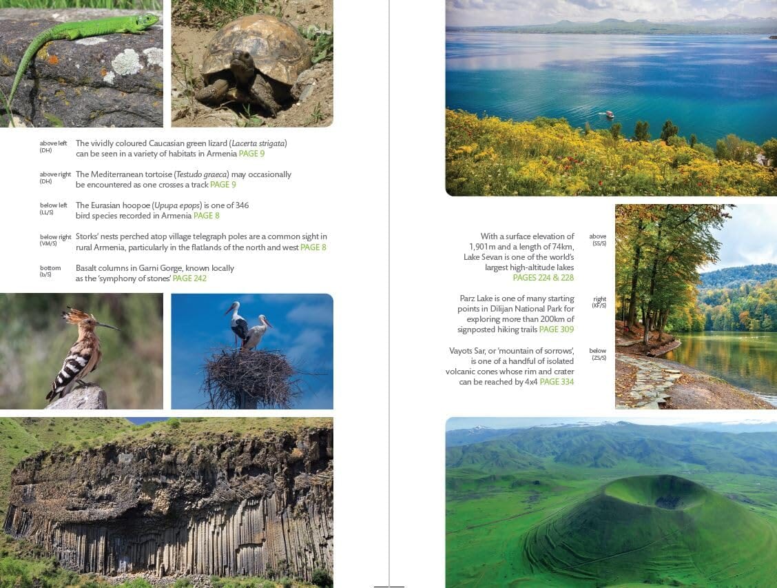 Guide de voyage (en anglais) - Arménie | Bradt guide de voyage Bradt 