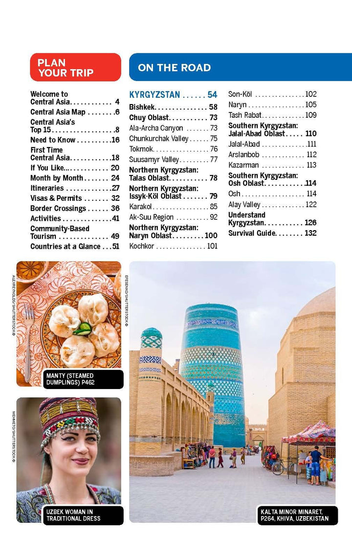 Guide de voyage (en anglais) - Asia Central | Lonely Planet guide de voyage Lonely Planet 