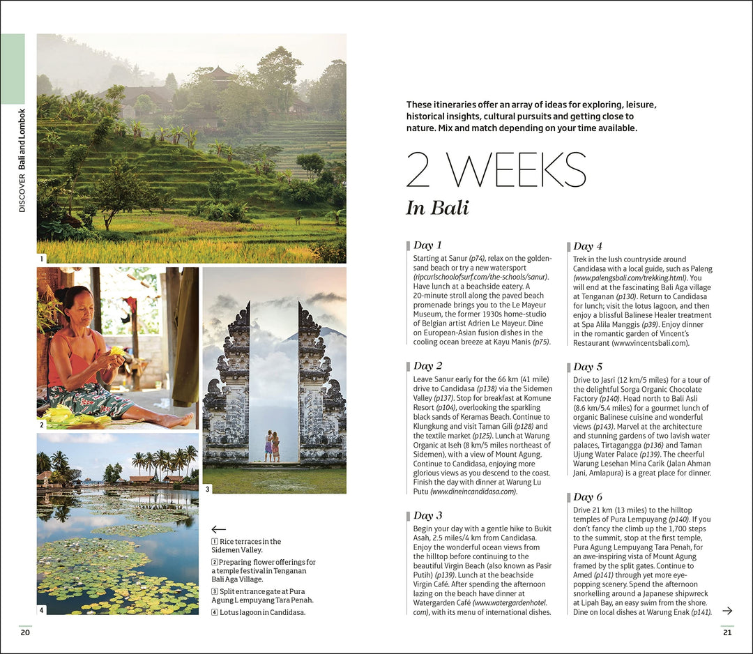 Guide de voyage (en anglais) - Bali & Lombok | Eyewitness guide de voyage Eyewitness 