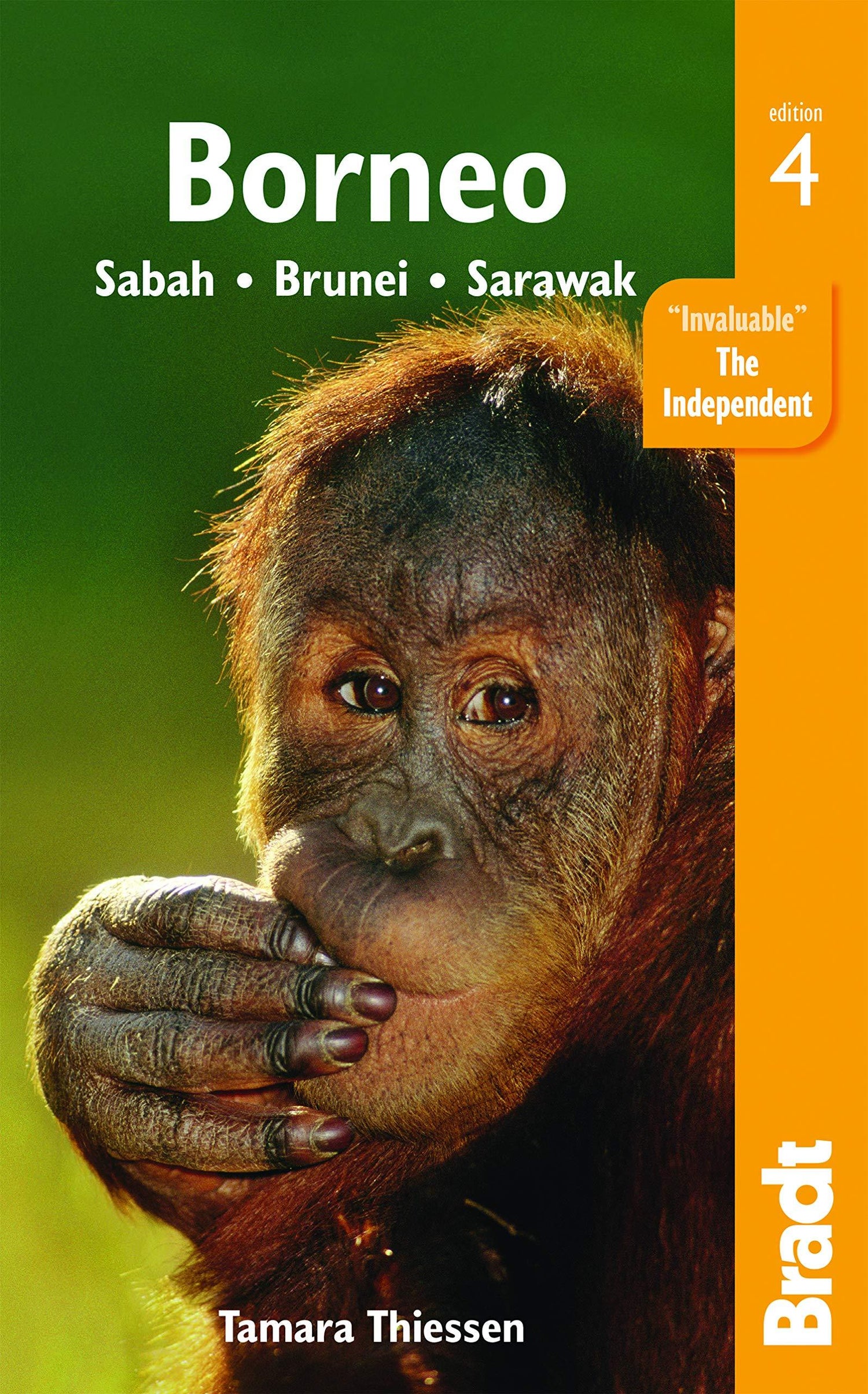 Guide de voyage (en anglais) - Borneo : Sabah, Brunei, Sarawak | Bradt guide de voyage Bradt