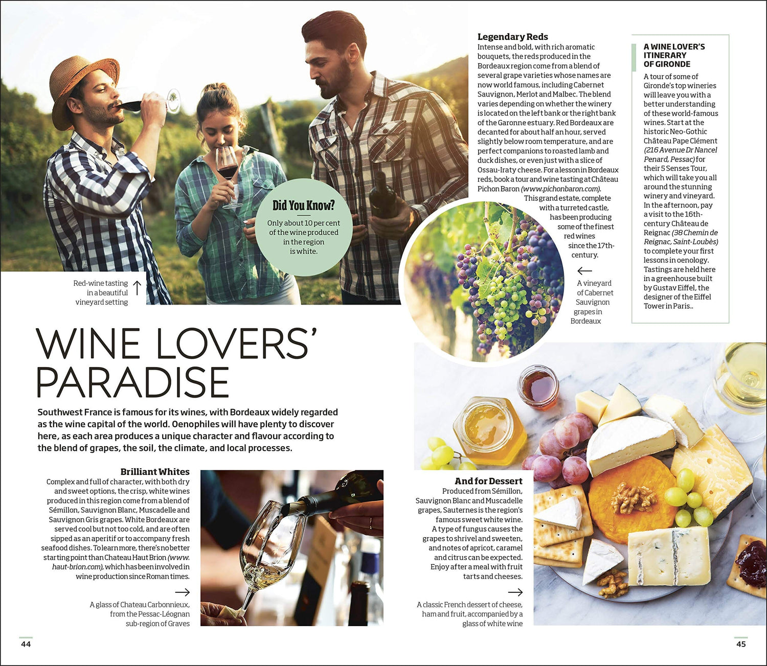 Guide de voyage (en anglais) - Dordogne - Bordeaux & Southwest Coast | Eyewitness guide de voyage Eyewitness 