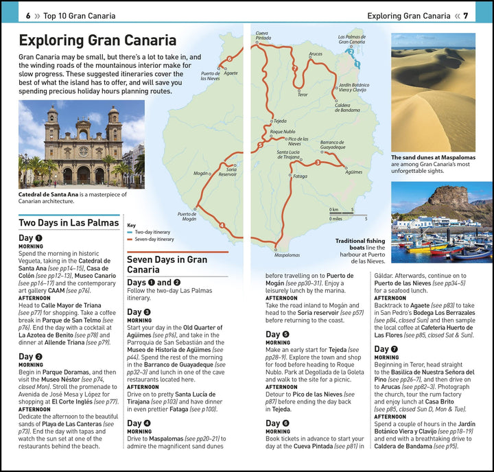 Guide de voyage (en anglais) - Gran Canaria Top 10 | Eyewitness guide petit format Eyewitness 