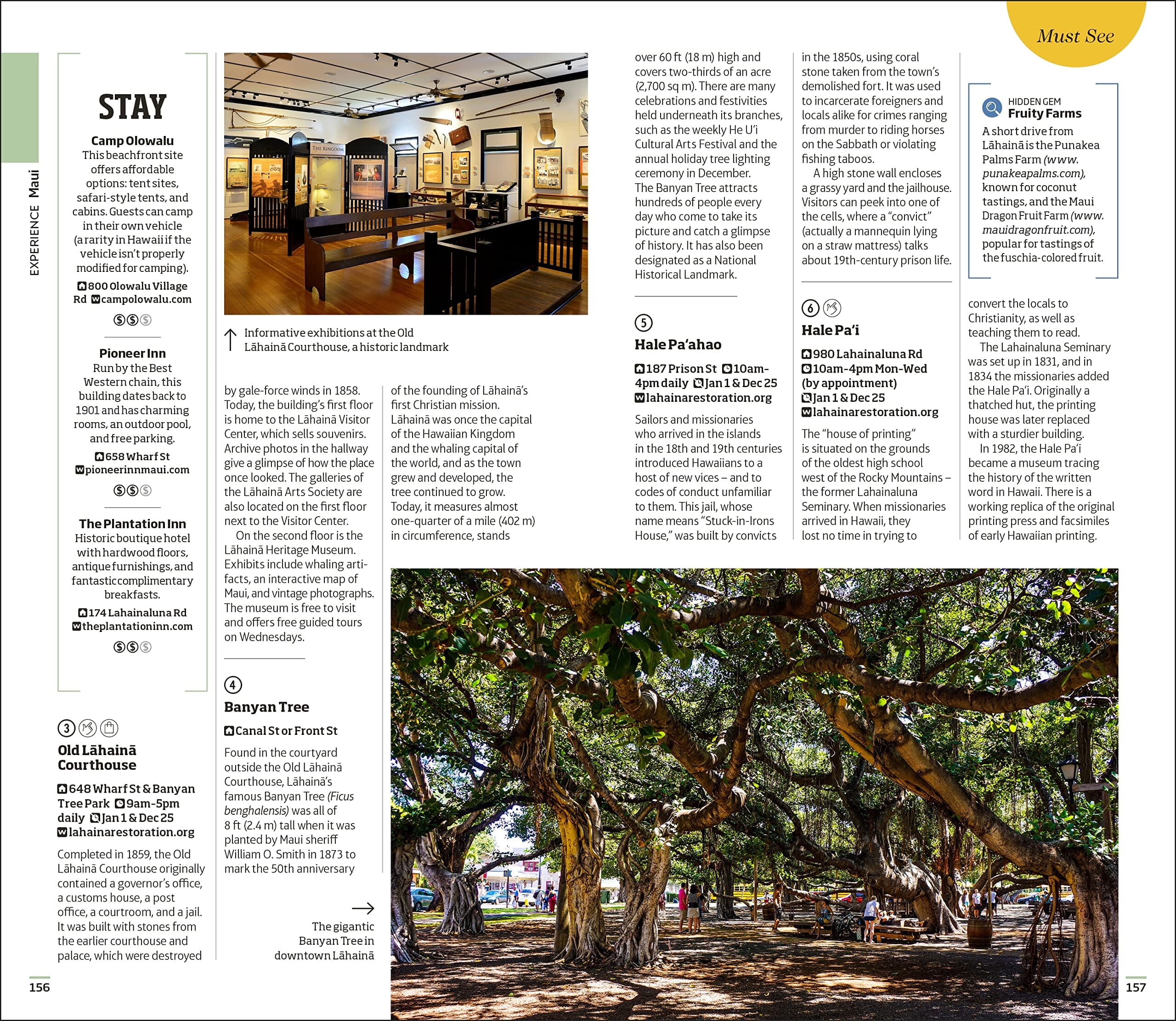 Travel guide (in English) - Hawaii | Eyewitness – Cartovia