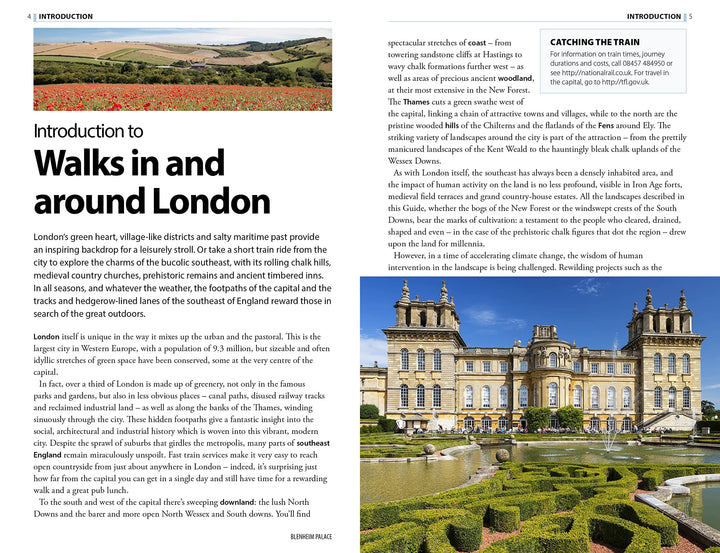 Guide de voyage (en anglais) - London & Southeast England Walks | Rough Guides guide de voyage Rough Guides 