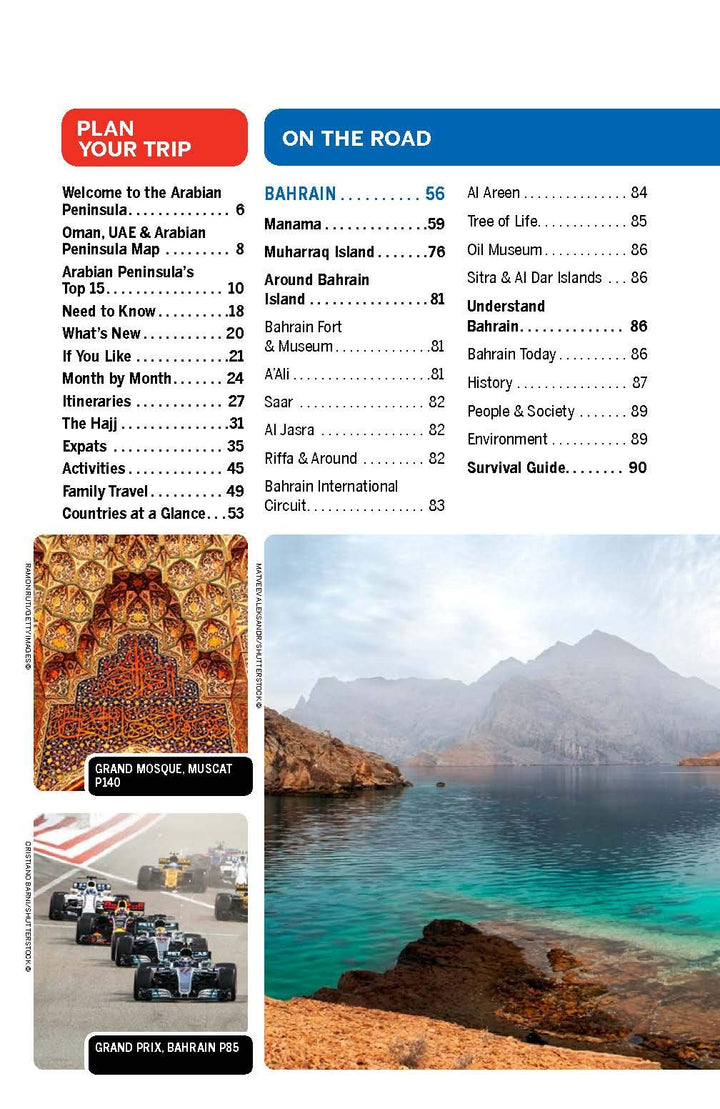Guide de voyage (en anglais) - Oman & the UAE & Arabian Peninsula | Lonely Planet guide de voyage Lonely Planet 