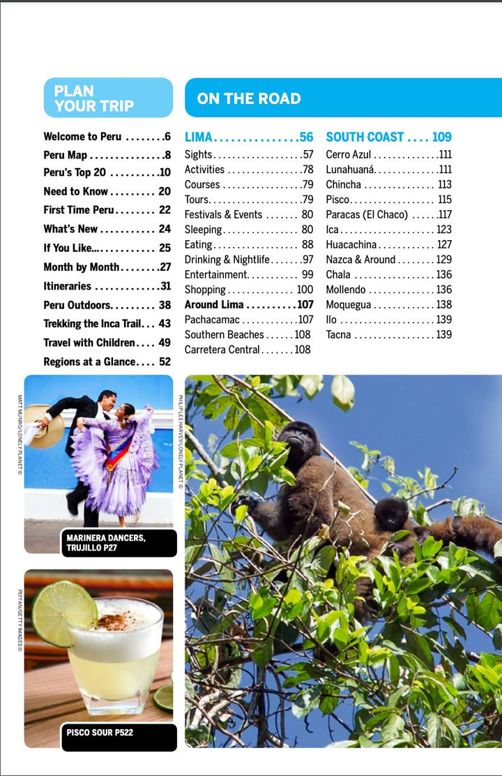 Guide de voyage (en anglais) - Peru | Lonely Planet guide de voyage Lonely Planet 