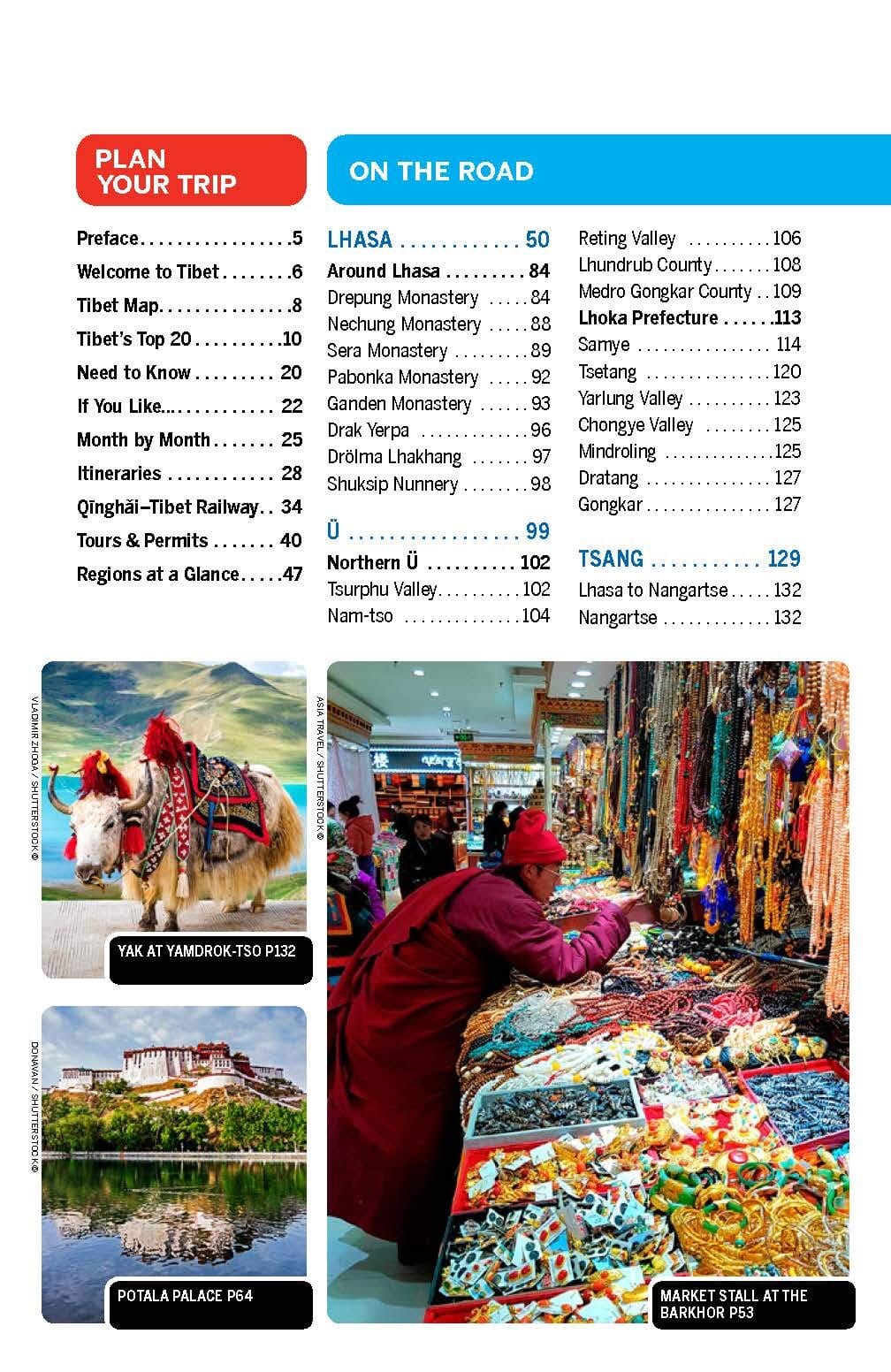 Guide de voyage (en anglais) - Tibet | Lonely Planet guide de voyage Lonely Planet EN 