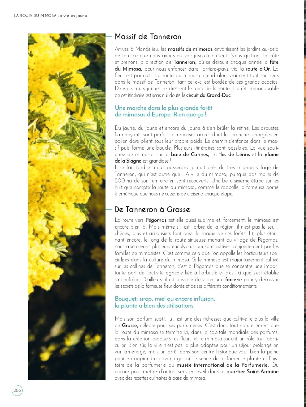 Guide de voyage - France : Road trips en van guide de voyage Dilibel 